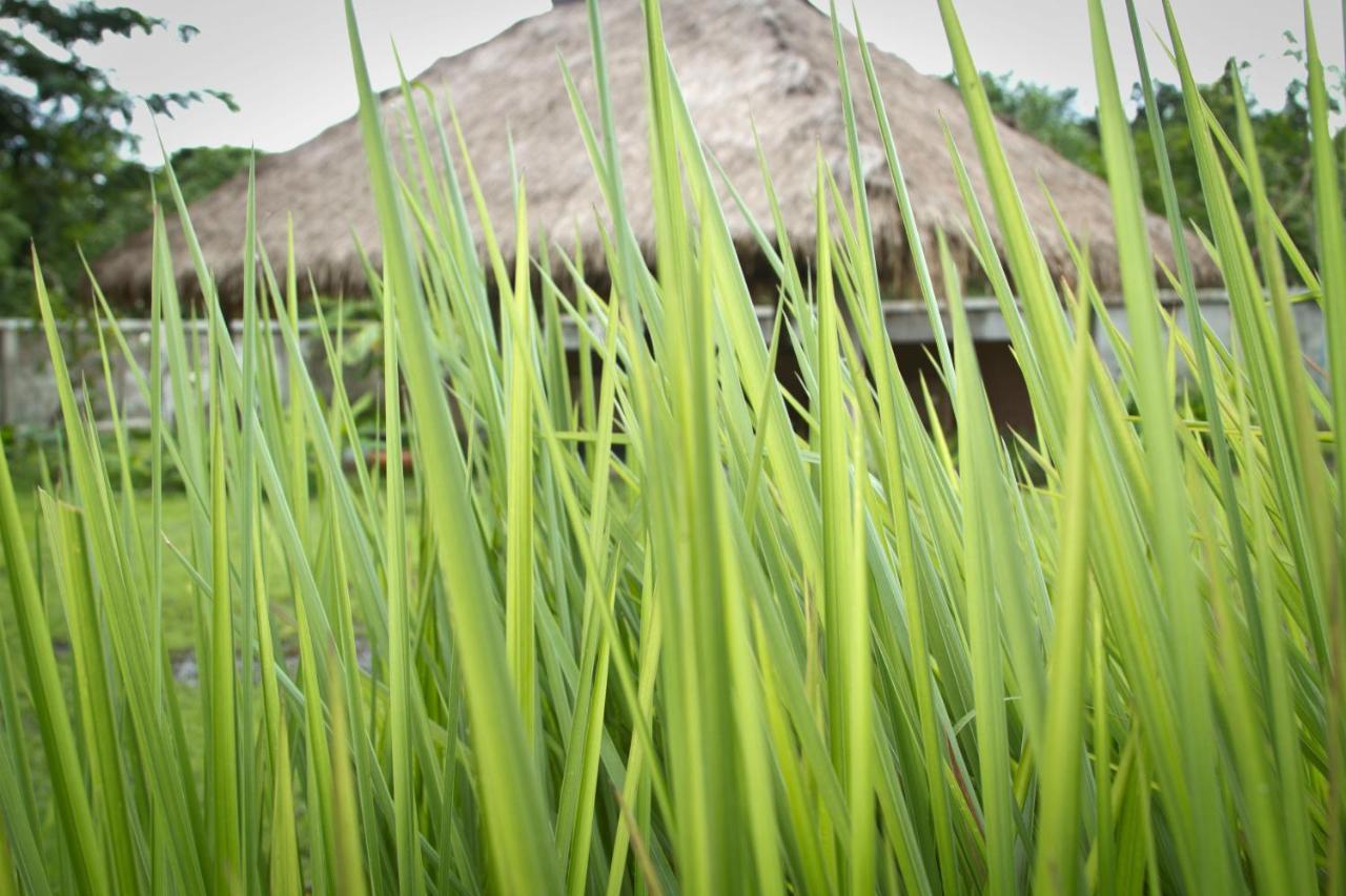 Calvary Home Mae Rim Bagian luar foto