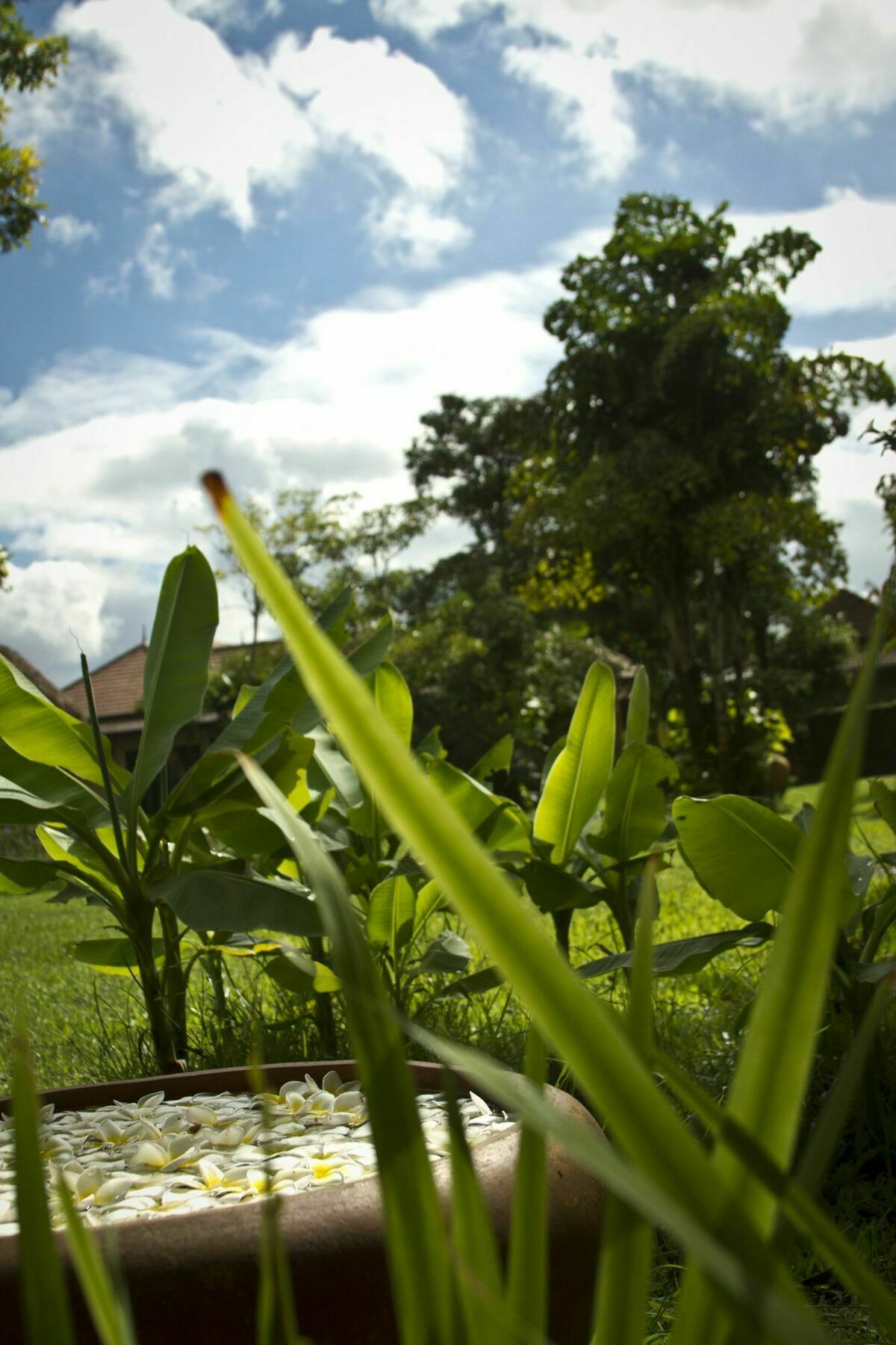 Calvary Home Mae Rim Bagian luar foto